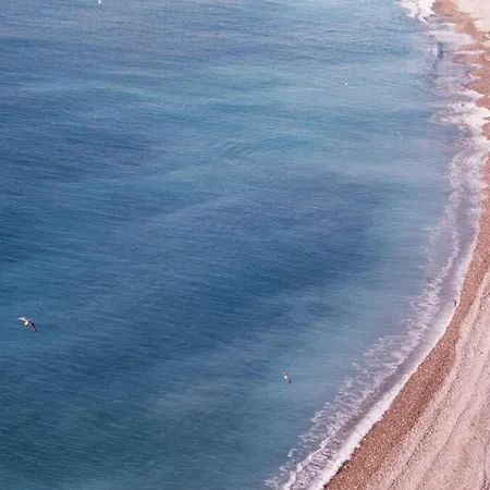 Californie - Proche نيس